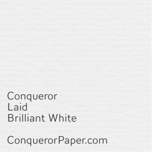 Conquerer Brilliant White Laid