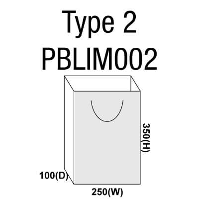 Large Paper Bag PBLIM002
