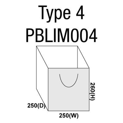 Large Paper Bag PBLIM004